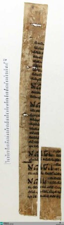 Fragment - Cod. Aug. Fr. 194