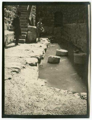birket silwan [Siloah]