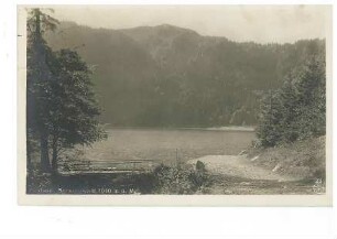 Feldsee beim Feldberg im Schwarzwald