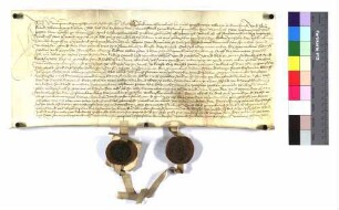 "Schadlosbrieg von Haimprand Ungschwech" (Altrep. S. 333)