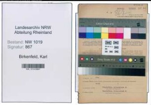 Entnazifizierung Karl Birkenfeld , geb. 11.02.1896 (Prokurist)