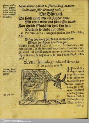 XLVIII. Hirundo, Irundo, vel. Herundo
