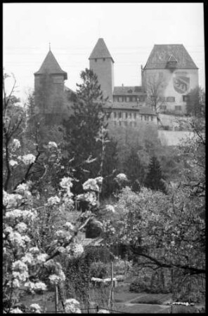 Burgdorf: Schloss mit Blütenbaum im Vordergrund