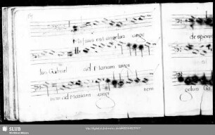 Ludwig Senfl: Missus est angelus Gabriel ad Mariam virginem
