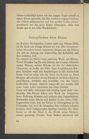 Vaterpflichten beim Rhesus