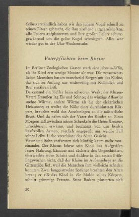 Vaterpflichten beim Rhesus
