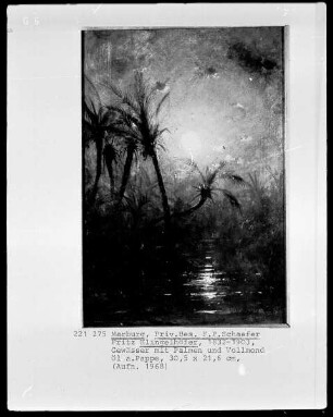 Gewässer mit Palmen und Vollmond