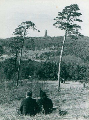 Am Grunewaldturm