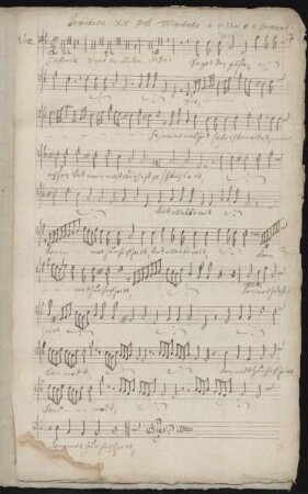 Voce (Tenore)
