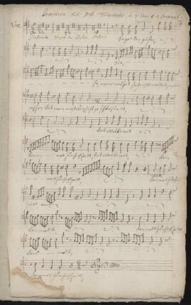 Voce (Tenore)