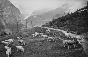 Alm mit Kühen (Schweizreise Leonhardt)