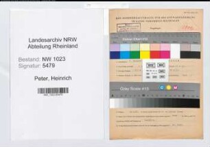 Entnazifizierung Heinrich Peter , geb. 06.12.1891 (Zollinspektor)