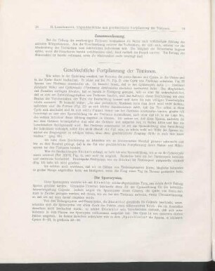 Geschlechtliche Fortpflanzung der Tintinnen.