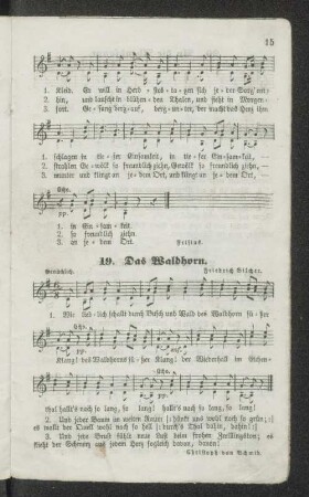 19. Das Waldhorn.