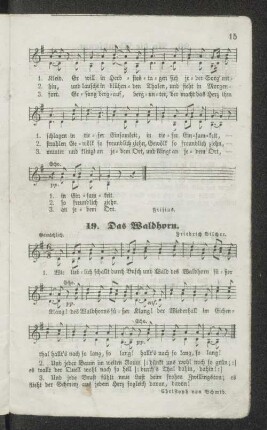 19. Das Waldhorn.