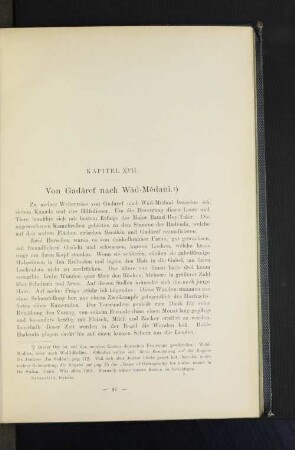 Kapitel XVII. Von Gadâref nach Wâd-Mêdani.