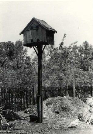 Geflügelhaltung in Kolkwitz, Taubenhaus : Land- und Viehwirtschaft - Geflügelzucht. Ort: Gołkojce / Kolkwitz. Schulstraße Haus Nr. 2. Taubenschlag.