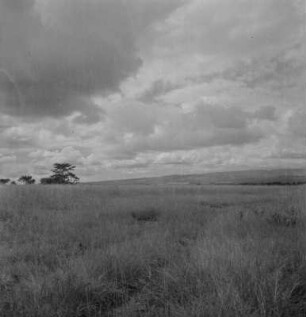 Steppe : Blick über die Steppe in Richtung des Mount Meru
