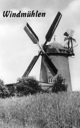 Hirschstein-Pahrenz. Holländermühle (Fotograf Riedel, Zeitz)