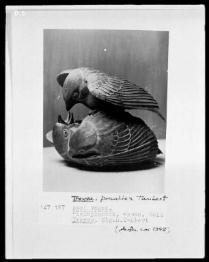 zwei Vögel