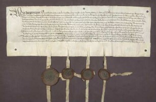 Erbhuldigungsrevers von Stadt und Amt Baden gegen die Brüder und Markgrafen Bernhard III. von Baden-Baden und Ernst von Baden-Durlach als Leibeigene derselben