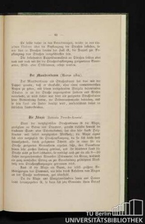 Der Maulbeerbaum (Mors alba).