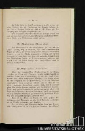 Der Maulbeerbaum (Mors alba).