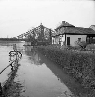 Dresden-Loschwitz. Elbehochwasser Frühjahr 1988. Einmündung Friedrich-Wieck-Straße. Blick gegen Loschwitzer Brücke (Blaues Wunder)