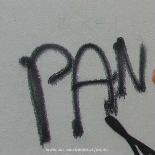 PAN