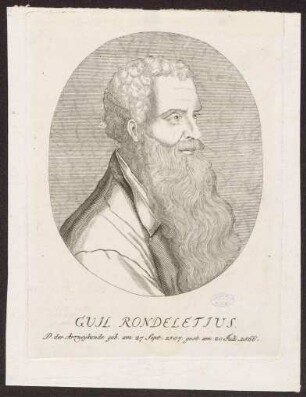 Rondelet, Guillaume