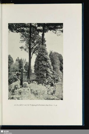 Durchblick von St. Wolfgangsfriedhof nach dem Dom