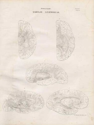 Tabula Decima (Lineartafel)