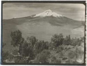 Der Cerro Cabaraya mit Queñua-Gehölz und gelbem Ichu im Vordergrund