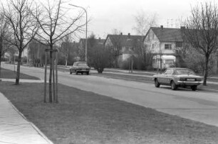 Planungen zur verstärkten Begrünung der Kaiserslauterner Straße