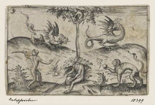Affen und Drachen