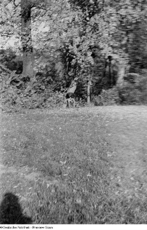 Impression aus dem Park an der Ilm