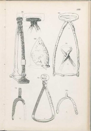 LVIII.