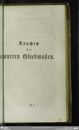 Knochen der untern Gliedmaßen