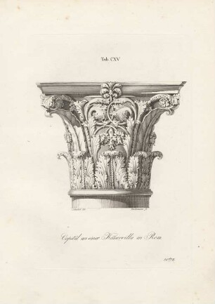 Tab. CXV.
