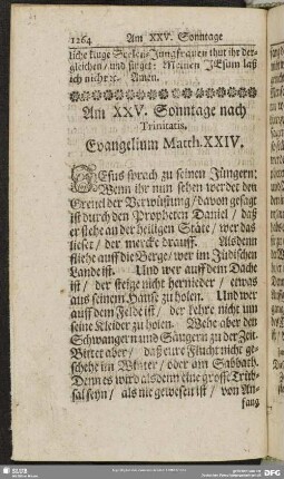 Am XXV. Sonntage nach Trinitatis. Evangelium Matth. XXIV