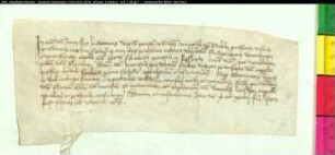 Bischof Ludwig von Münster bestätigt obige Schenkung.