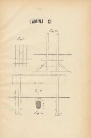 Lamina XI
