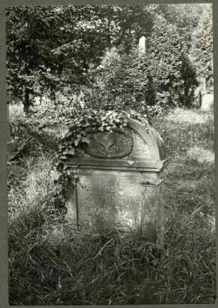 Friedhof. Grabstein um 1720 (13 ?). Juli Vergl. 509