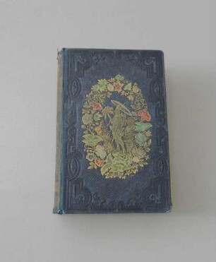 Buch: Aventures de Robinson Crusoe