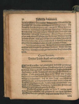 Caput Sextum. Von des Pabstes Kopff/ und vornehmster Intention.