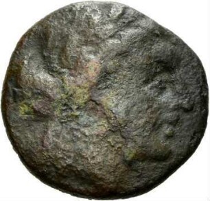 Apameia