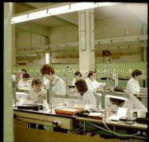 Produktion im Halbleiterwerk Frankfurt (Oder)