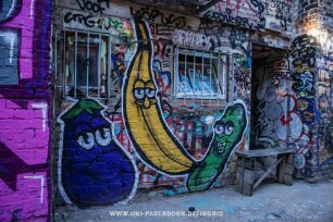 ASF.DFF.OFV | ZRAP NiKON | ROZeR | RoER1 | DOOF | CTPGN | YÖRS. | EUL | KEVIN DIE Schwuchtel