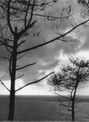 Urlaub in Frankreich. Landschaft bei Arcachon mit spannungsgeladenem Himmel