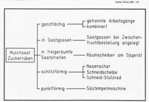 Übersicht: Säverfahren, Zuckerrübe, Einzelkornsaat, Mulchsaat